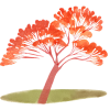 Poinciana Media Inc.